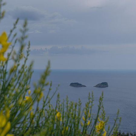 Villa La Pace Sant'Agnello Eksteriør billede