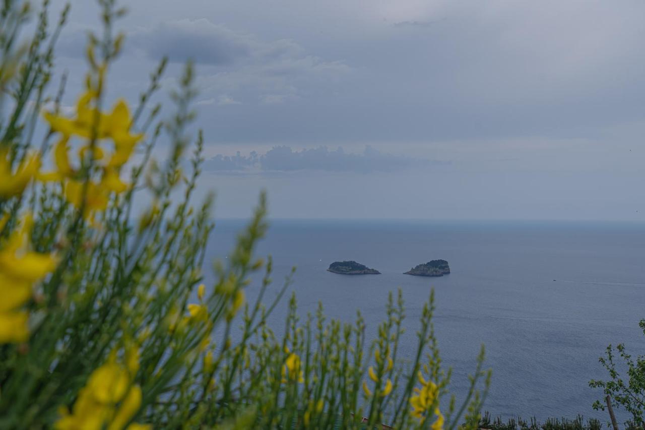 Villa La Pace Sant'Agnello Eksteriør billede