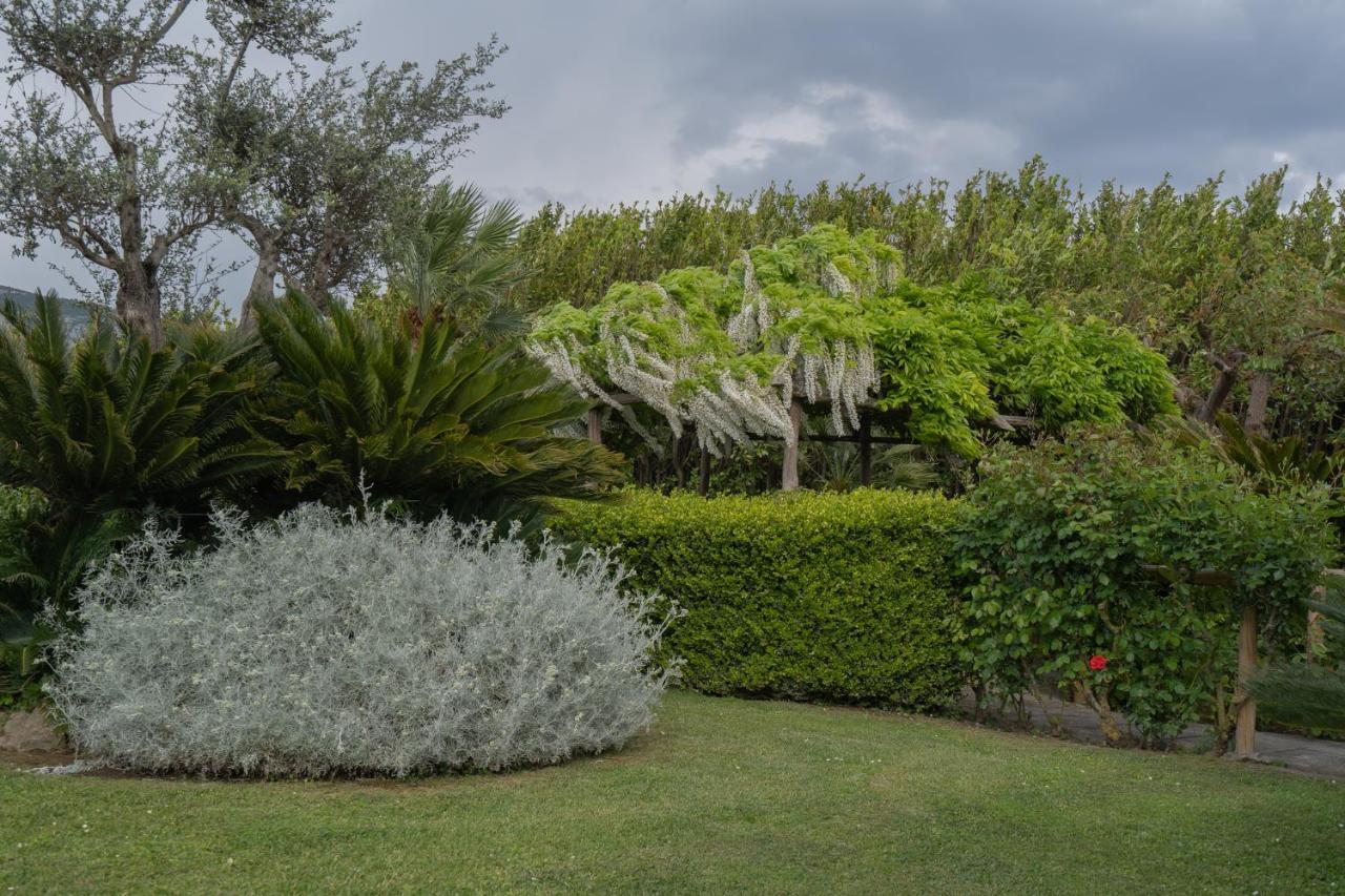 Villa La Pace Sant'Agnello Eksteriør billede