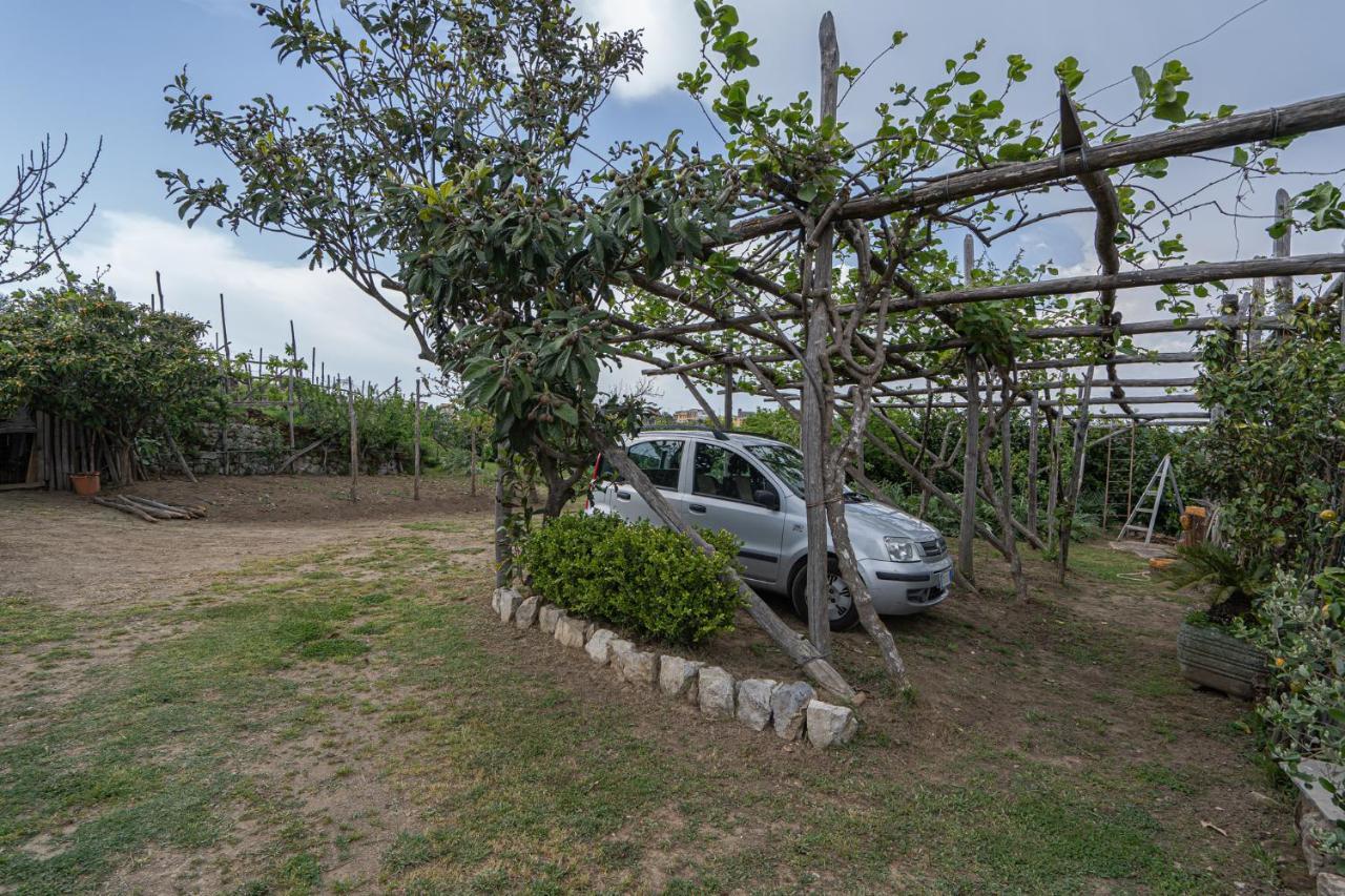 Villa La Pace Sant'Agnello Eksteriør billede