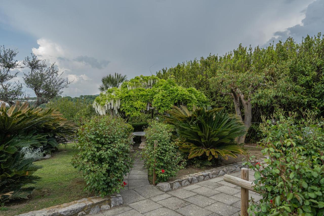 Villa La Pace Sant'Agnello Eksteriør billede